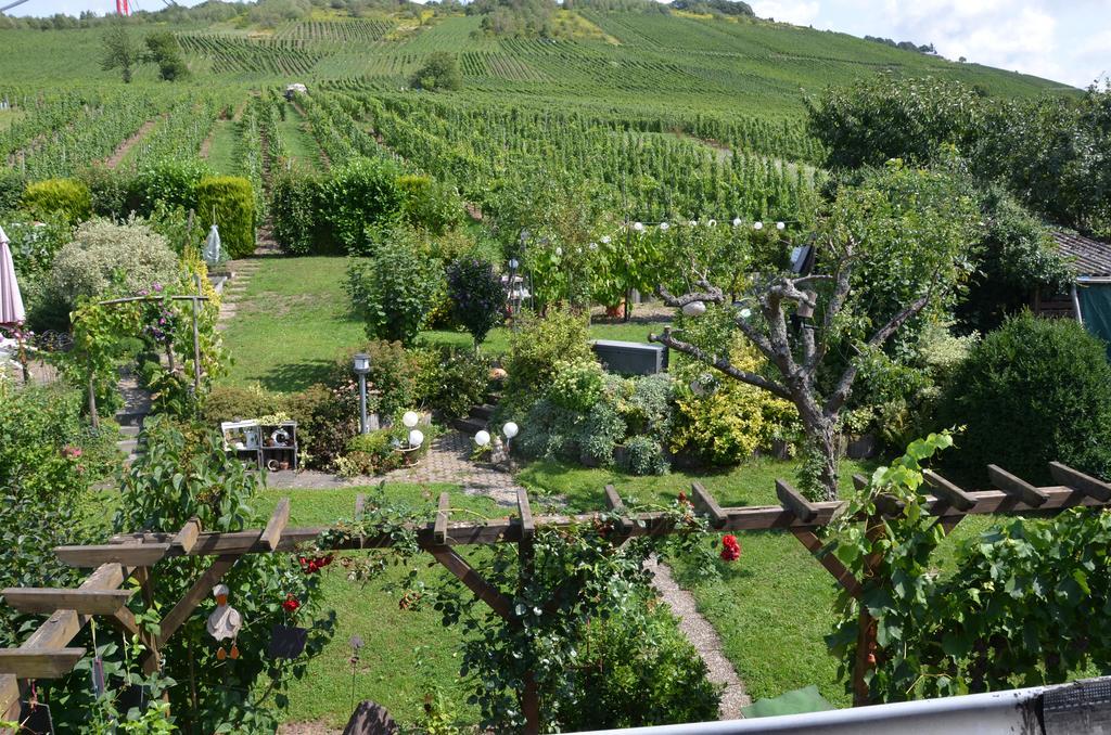 Ferienhaus Stuelb Zeltingen-Rachtig Bagian luar foto